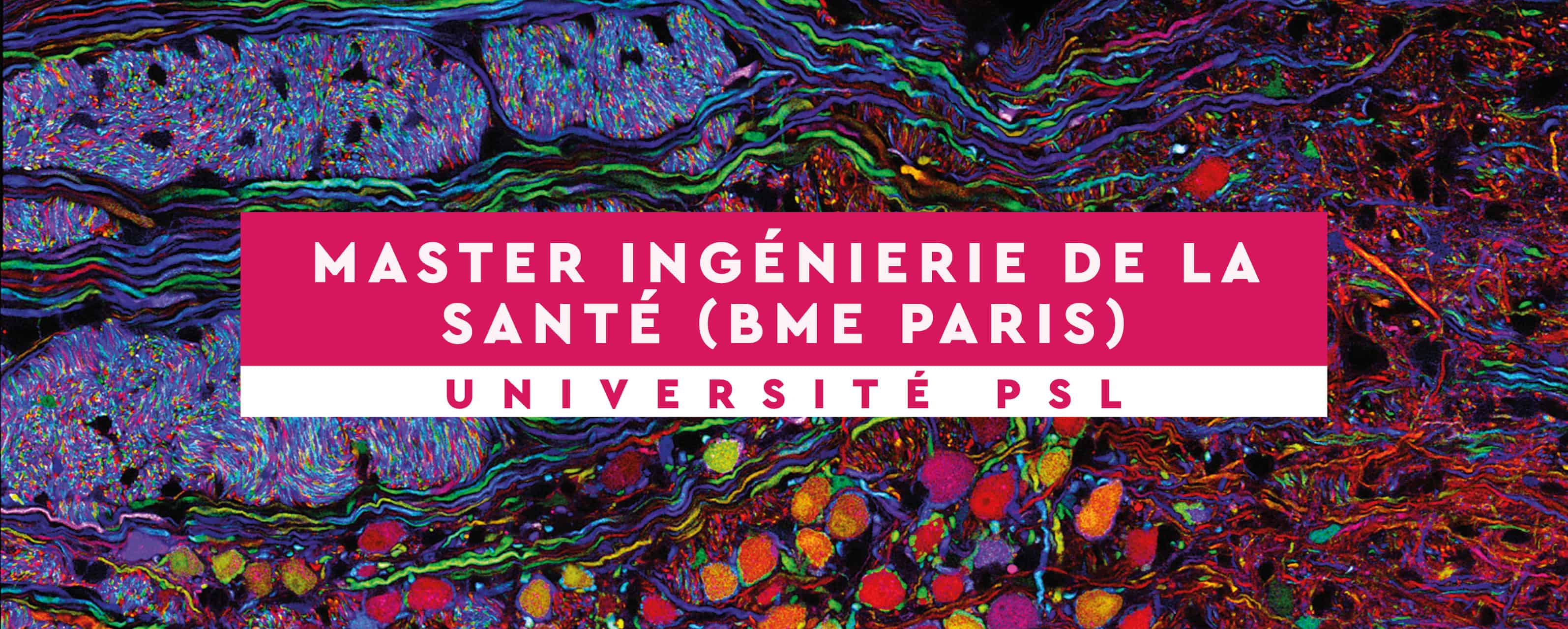 Bme en BME-EN