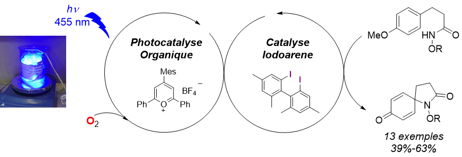 Image1 Image1