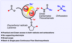 Anodic Oxidations of Carboxylic Acids in Batch and Flow