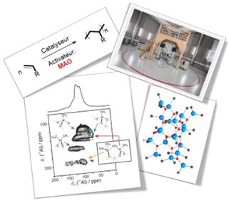 Image1 Image1