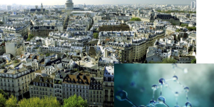 Capture d’écran 2025-05-26 102737