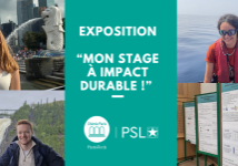 Exposition mon stage à impact durable !